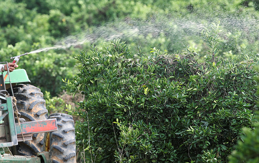 Fotografi av en bonde som sprøyter avlingen med kjemiske plantevernmidler.