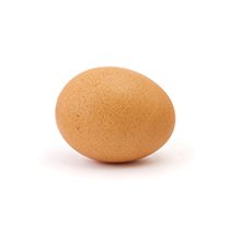 egg