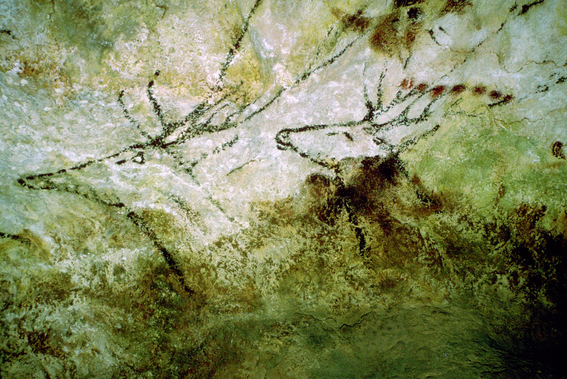 hulemaleri Lascaux Kapittel_10:_Hvordan_si_mye_med_lite